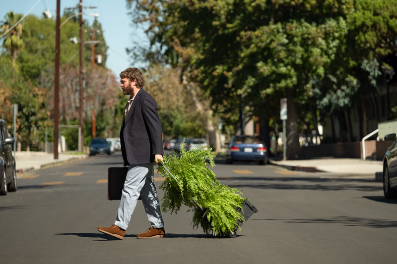 Zach Galifianakis